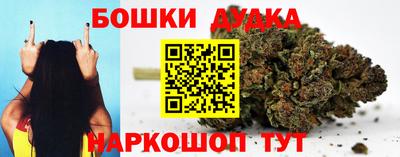 индика Кунгур