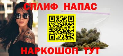 индика Кунгур