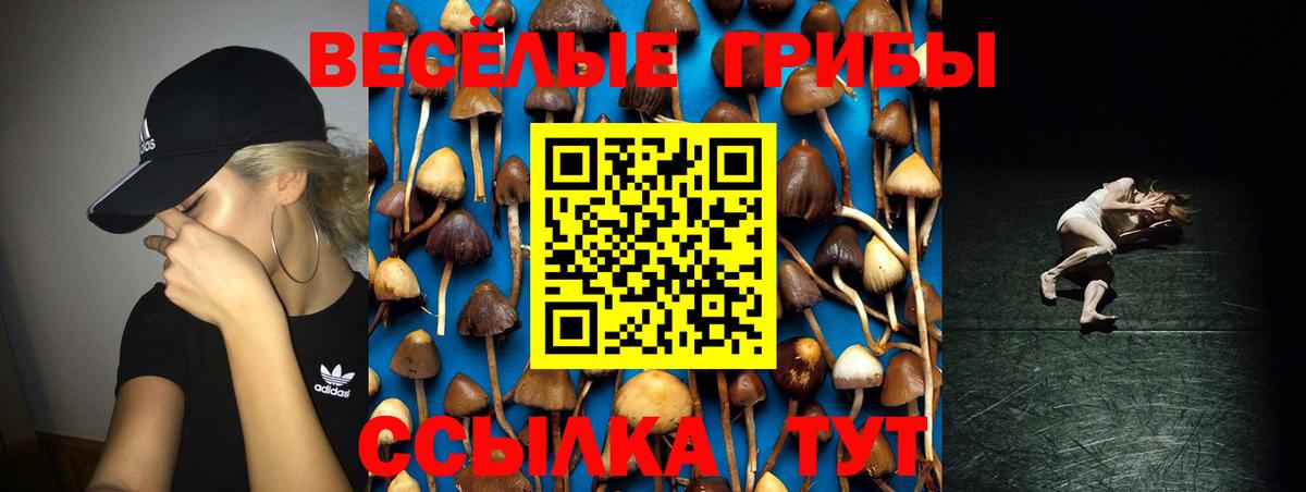 Галлюциногенные грибы Magic Shrooms  Галлюциногенные грибы Psilocybine cubensis  Валуйки  Вход с VPN 